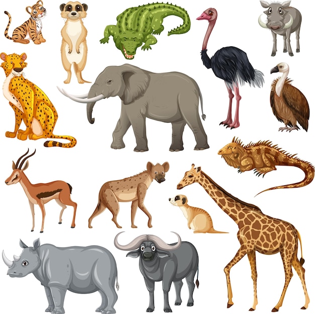 Set of various African animals