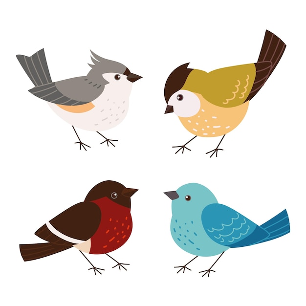 Free Vector set of various cute birds