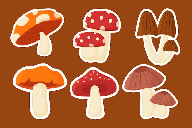 Free Vector set of various mushroom drawing cartoon style vector