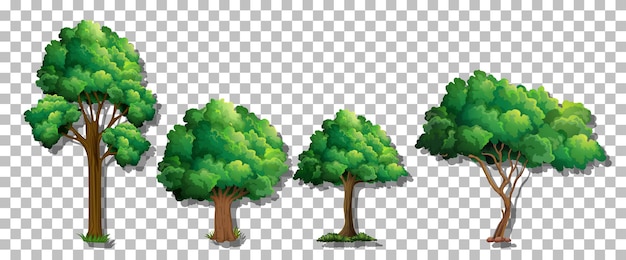 Free vector set of various trees on transparent background