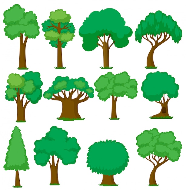 Free vector set of various trees