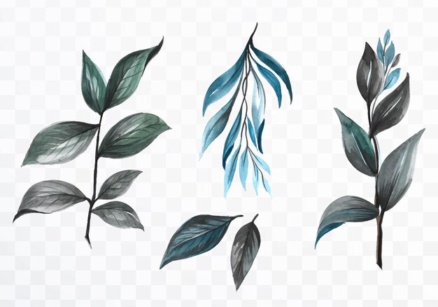 Set of various watercolor leaf on transparent background