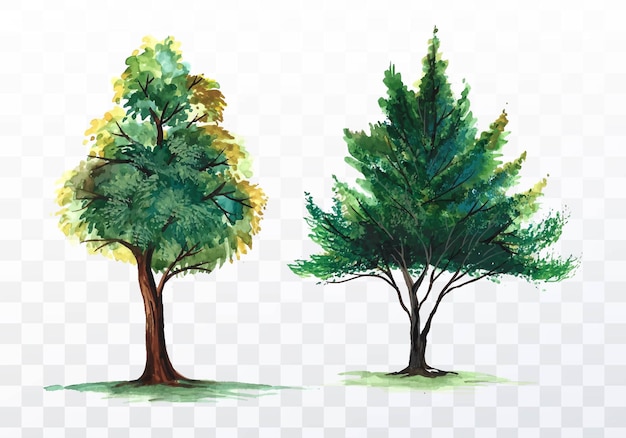 Set of various watercolor trees on transparent background