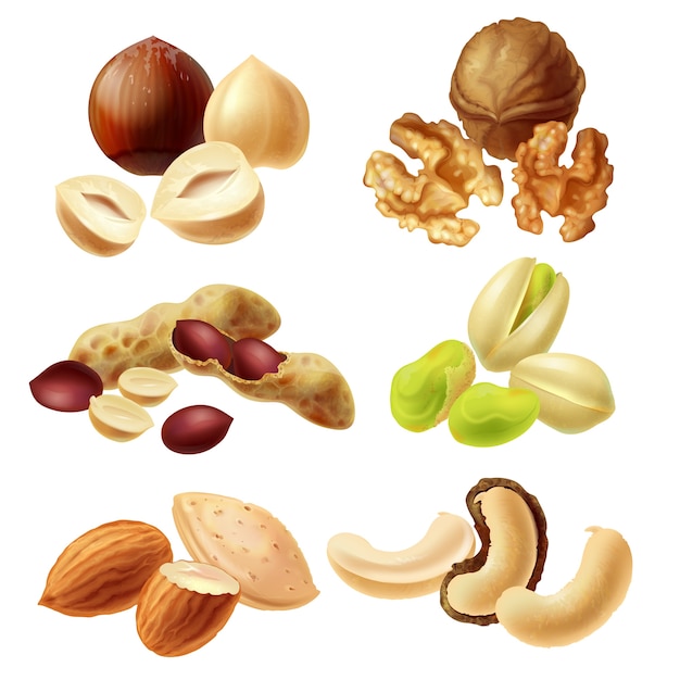 Free Vector set vector icons of nuts