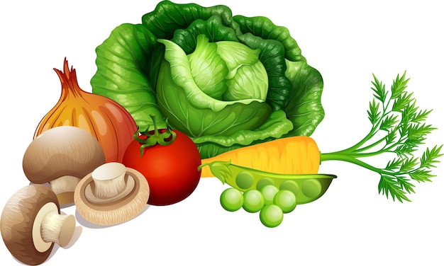 Set of vegetables on white background