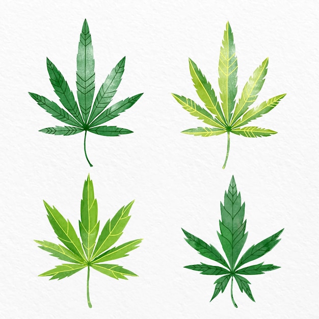 Set of watercolor cannabis leaves