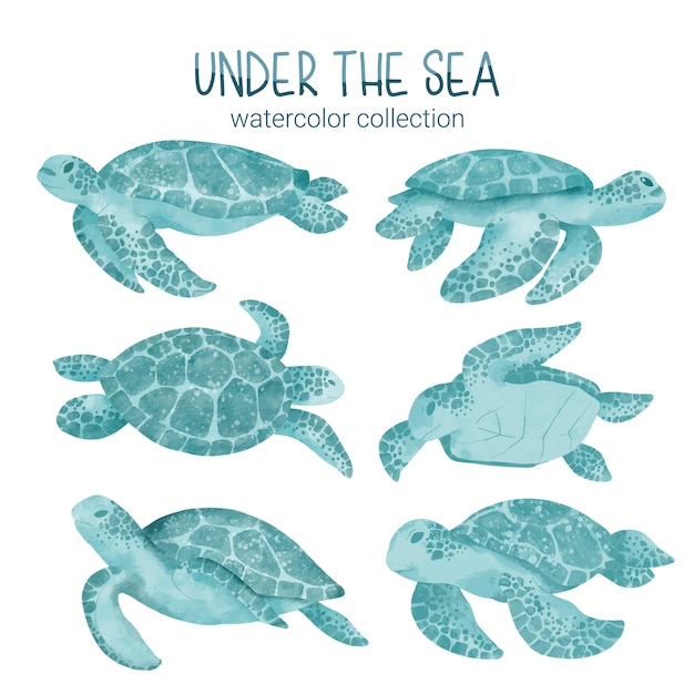 Free Vector set of watercolor cute animal and plant marine life under sea vector illustration