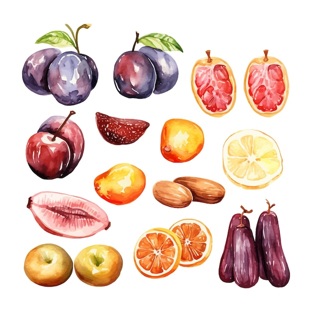 Free Vector set of watercolor date fruit clipart white background