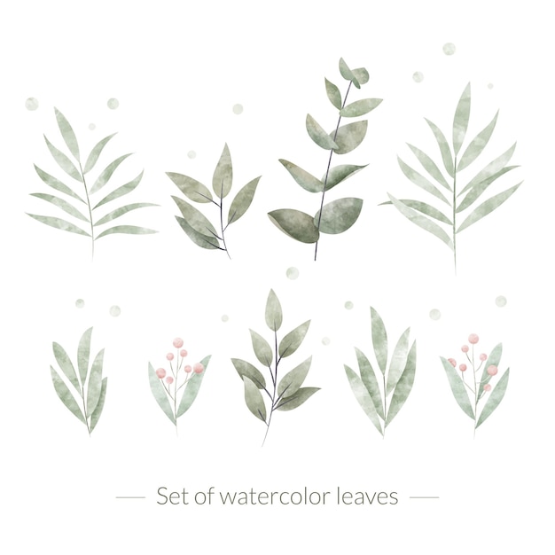 Set of watercolor leaves