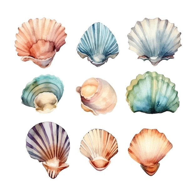 Free Vector set of watercolor seashells on isolated illustration sea clipart