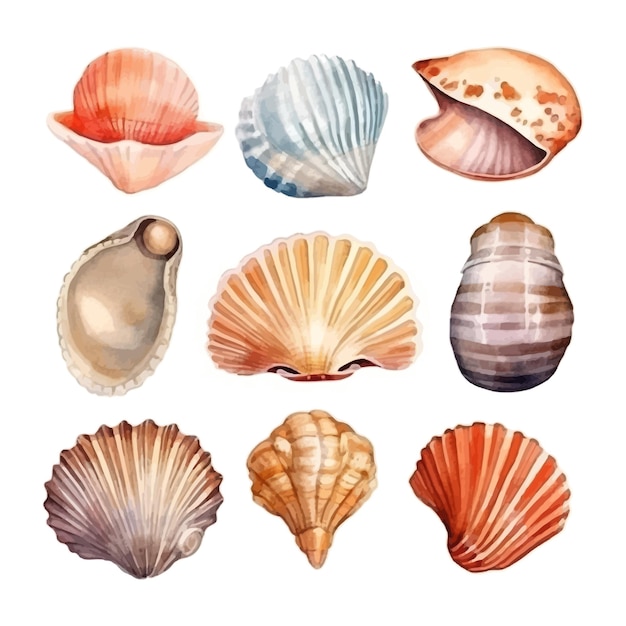 Free Vector set of watercolor seashells on isolated illustration sea clipart