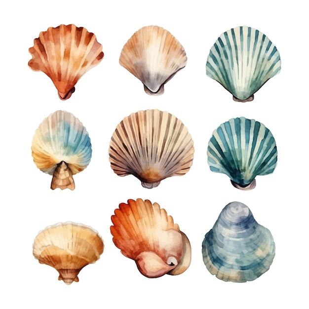 Free Vector set of watercolor seashells on isolated illustration sea clipart