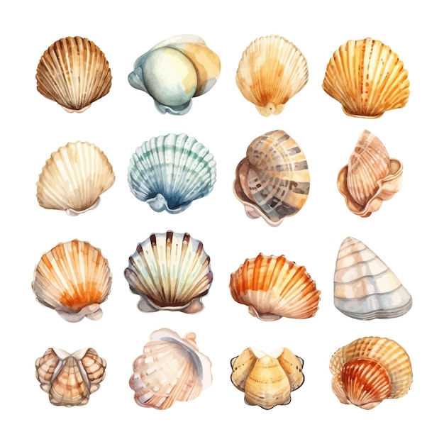 Free Vector set of watercolor seashells on isolated illustration sea clipart