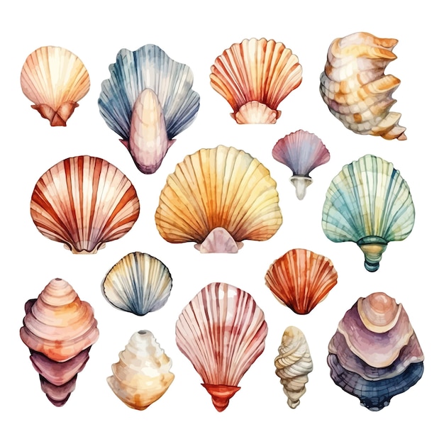 Set of watercolor Seashells on isolated illustration sea clipart