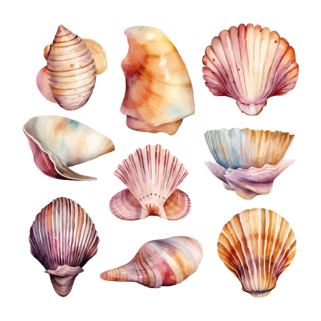 Free Vector set of watercolor seashells on isolated illustration sea clipart