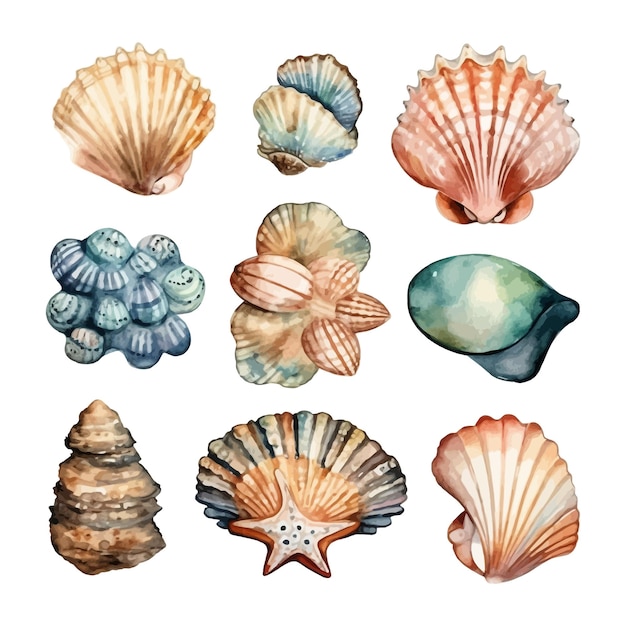 Free Vector set of watercolor seashells on isolated illustration sea clipart