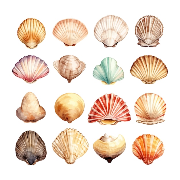 Free Vector set of watercolor seashells on isolated illustration sea clipart