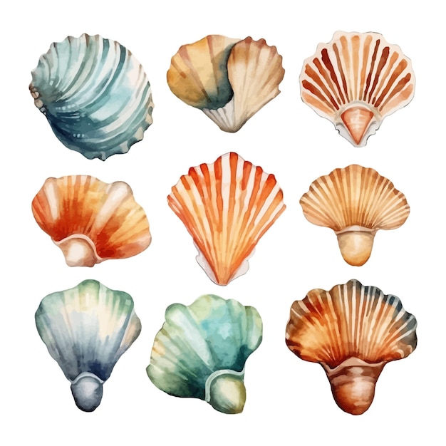 Free Vector set of watercolor seashells on isolated illustration sea clipart