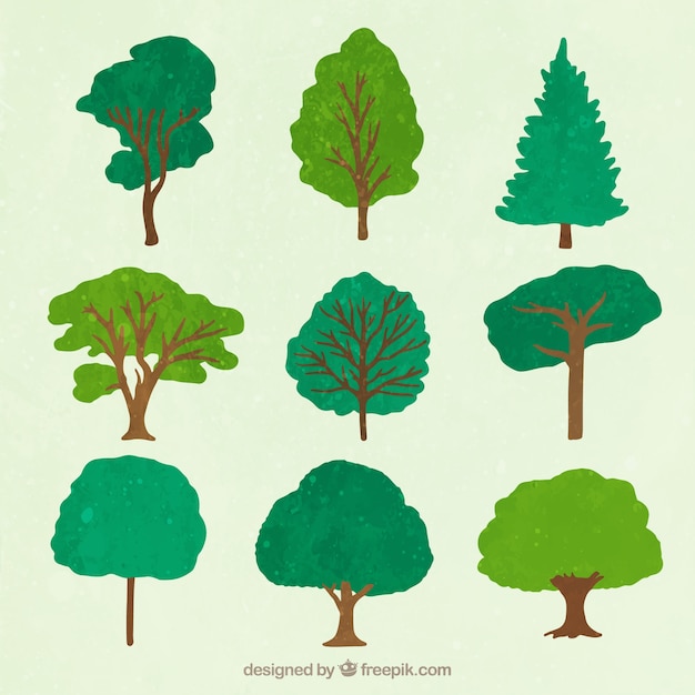 Free vector set of watercolor trees