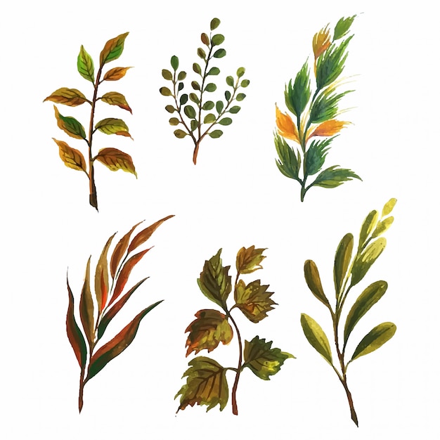 Free Vector set of watercolor various leaves elements 