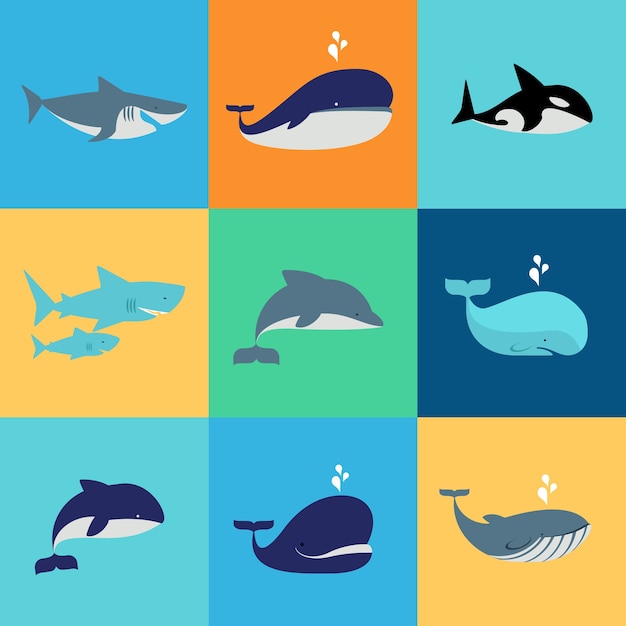 set of whales, dolphins and sharks