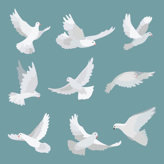 Free Vector set white doves peace isolated on background vector bird illustration