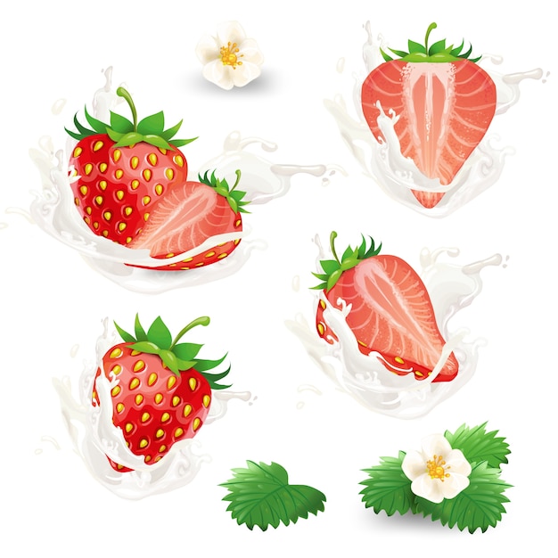 Free vector set of whole and half strawberries with flowers, leaves and cream, milk or yogurt splash.