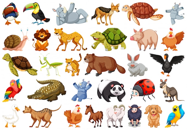 Set of wild animals