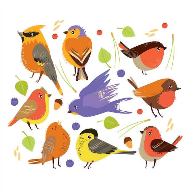 Free Vector  set with birds and elements of forest plants. autumn time. 