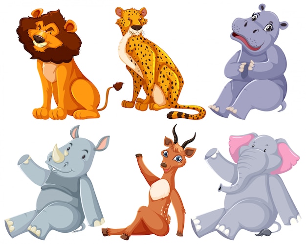 Free Vector set of zoo animal sitting