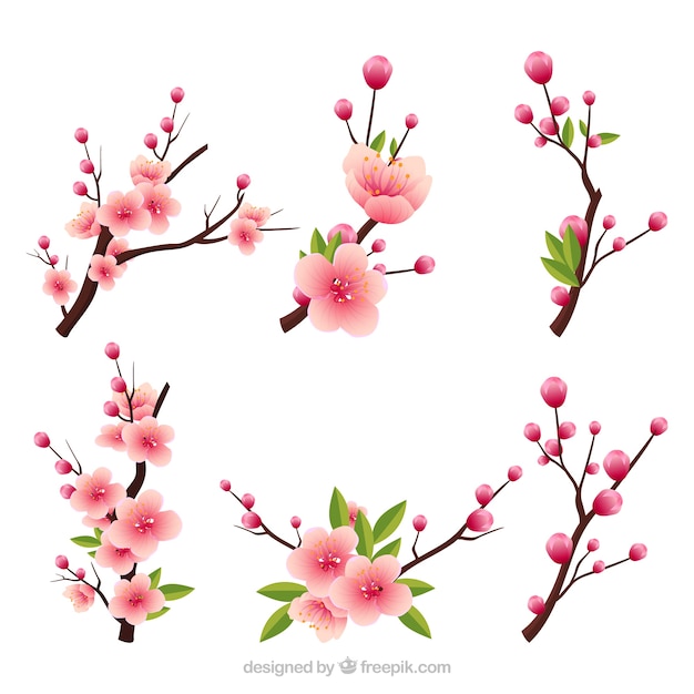 Free Vector several blooming branches in realistic style