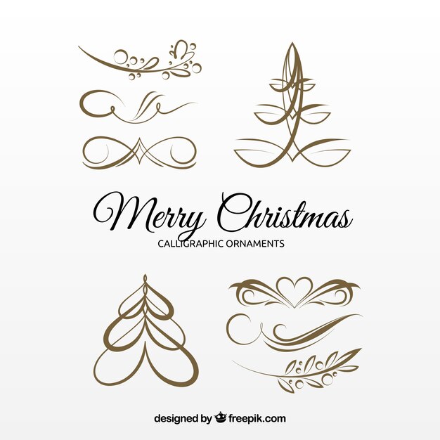 Several christmas golden calligraphic ornaments