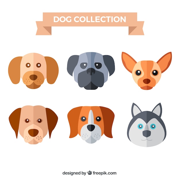 Several dog faces in flat design