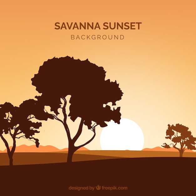 Free vector shadowy forest landscape in the savanna