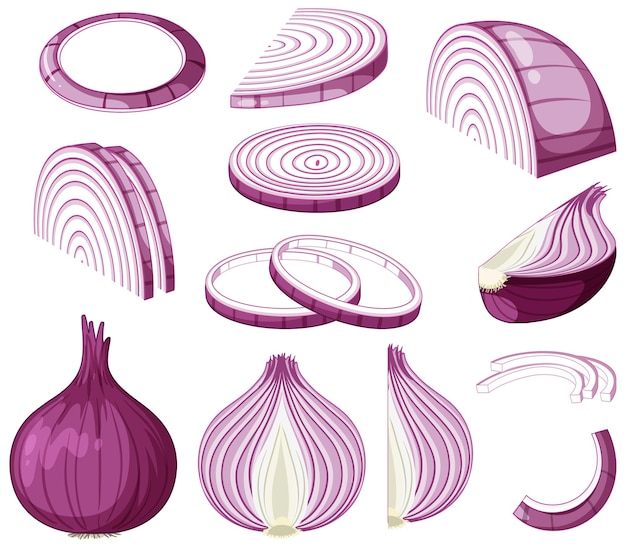 Free Vector shallot in whole and sliced pieces