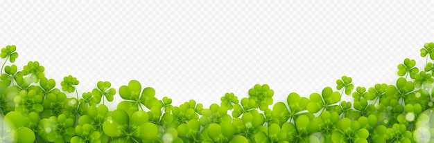 Free Vector shamrock clover four leaf vector border pattern