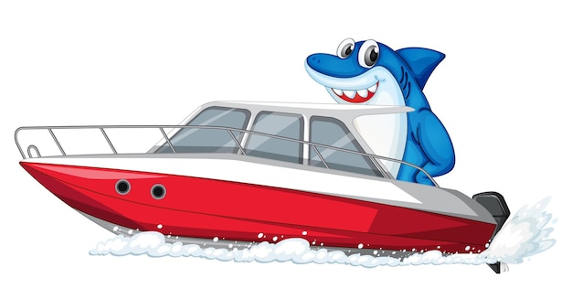 Shark on speed boat cartoon character on white background