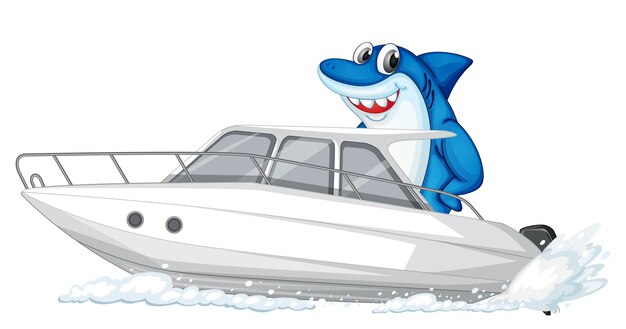 Shark on speed boat cartoon character on white background