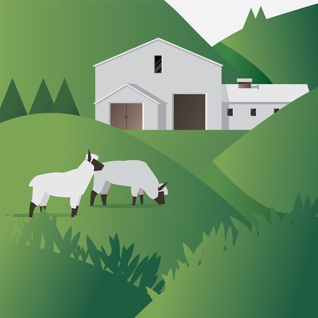 Free Vector sheep farm with farmhouse flat