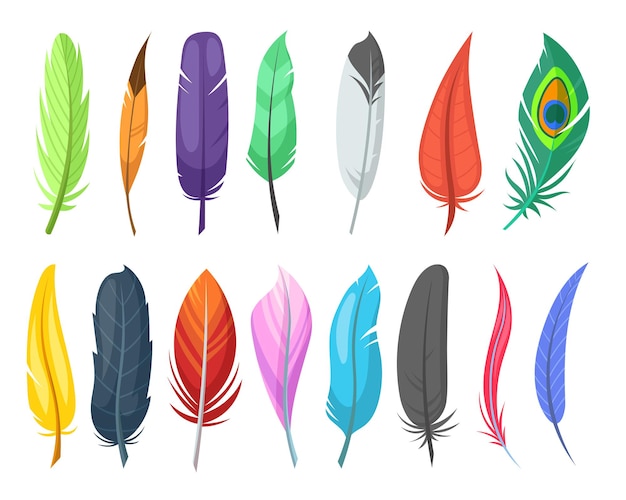 Free Vector shiny feathers of birds flat illustrations set