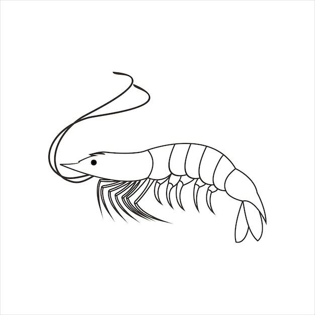 Free Vector shrimp design vintage illustration