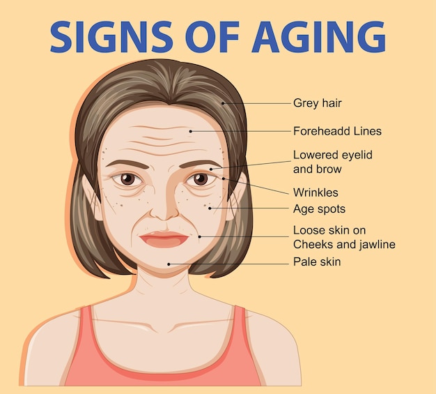 Free vector signs of aging illustration