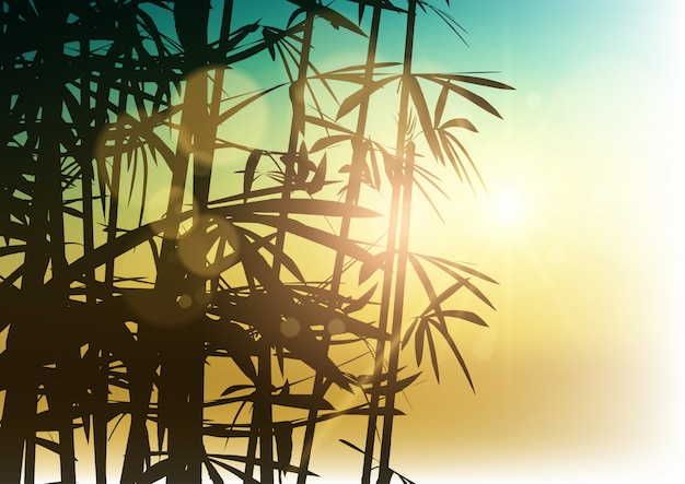 Silhouette of bamboo on sunlight background 