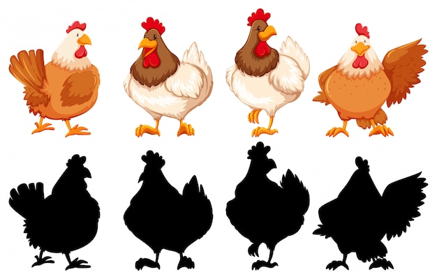 Silhouette, color and outline version of chickens