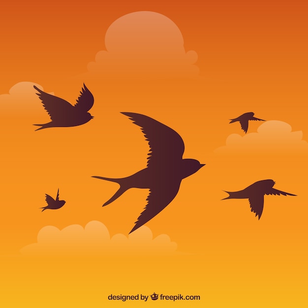 Free Vector silhouette flying bird background