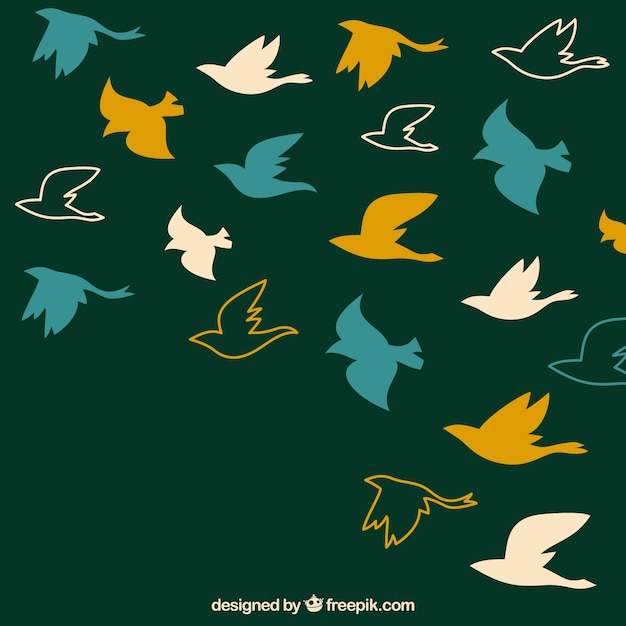 Free Vector silhouette flying bird background