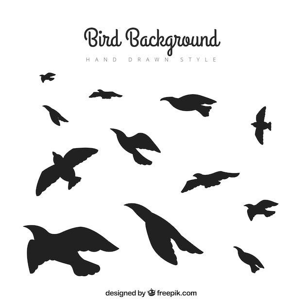 Silhouette flying bird background