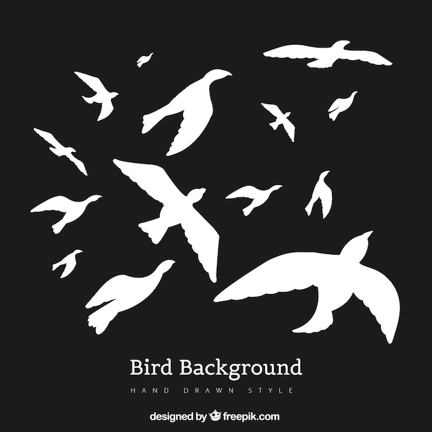 Silhouette flying bird background