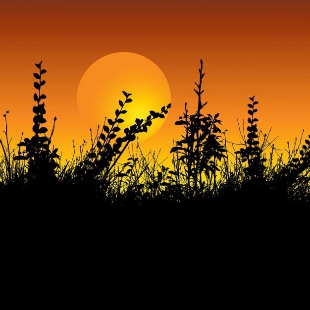 Free vector silhouette of foliage against a sunset sky