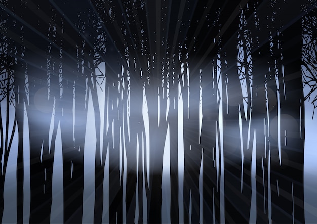 Silhouette of a forest at night